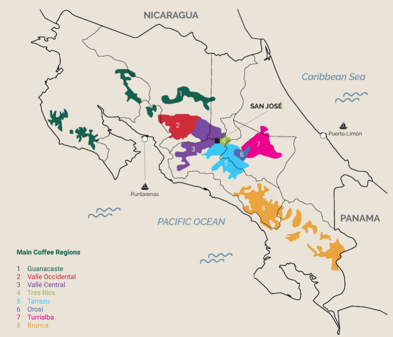 Costa Rica - Tarrazu Sognefjord Kaffibrenneri