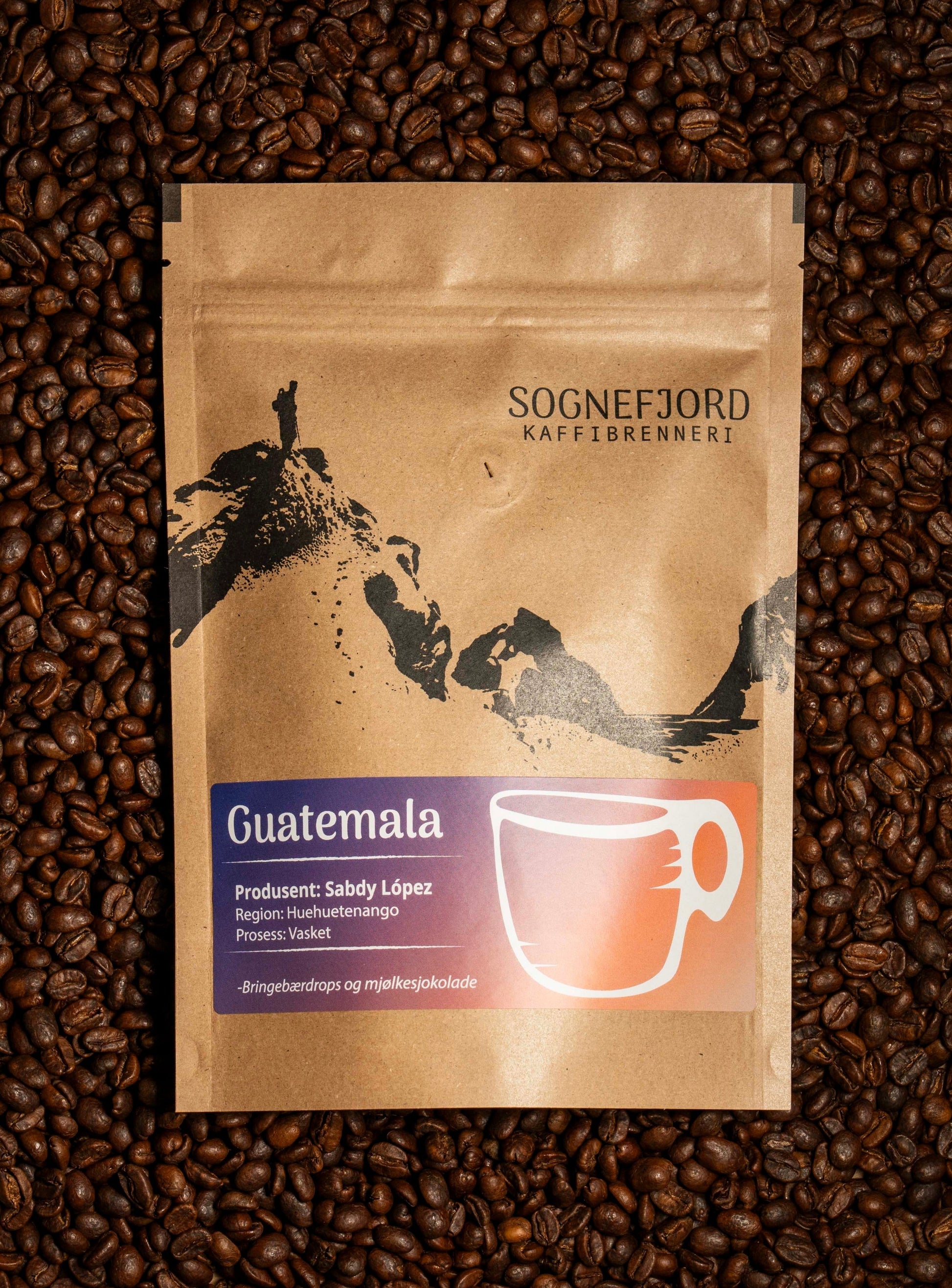Cascara Infused - Etiopia Sognefjord Kaffibrenneri