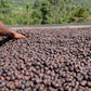 Koffeinfri kaffi #2 - Peru Sognefjord Kaffibrenneri