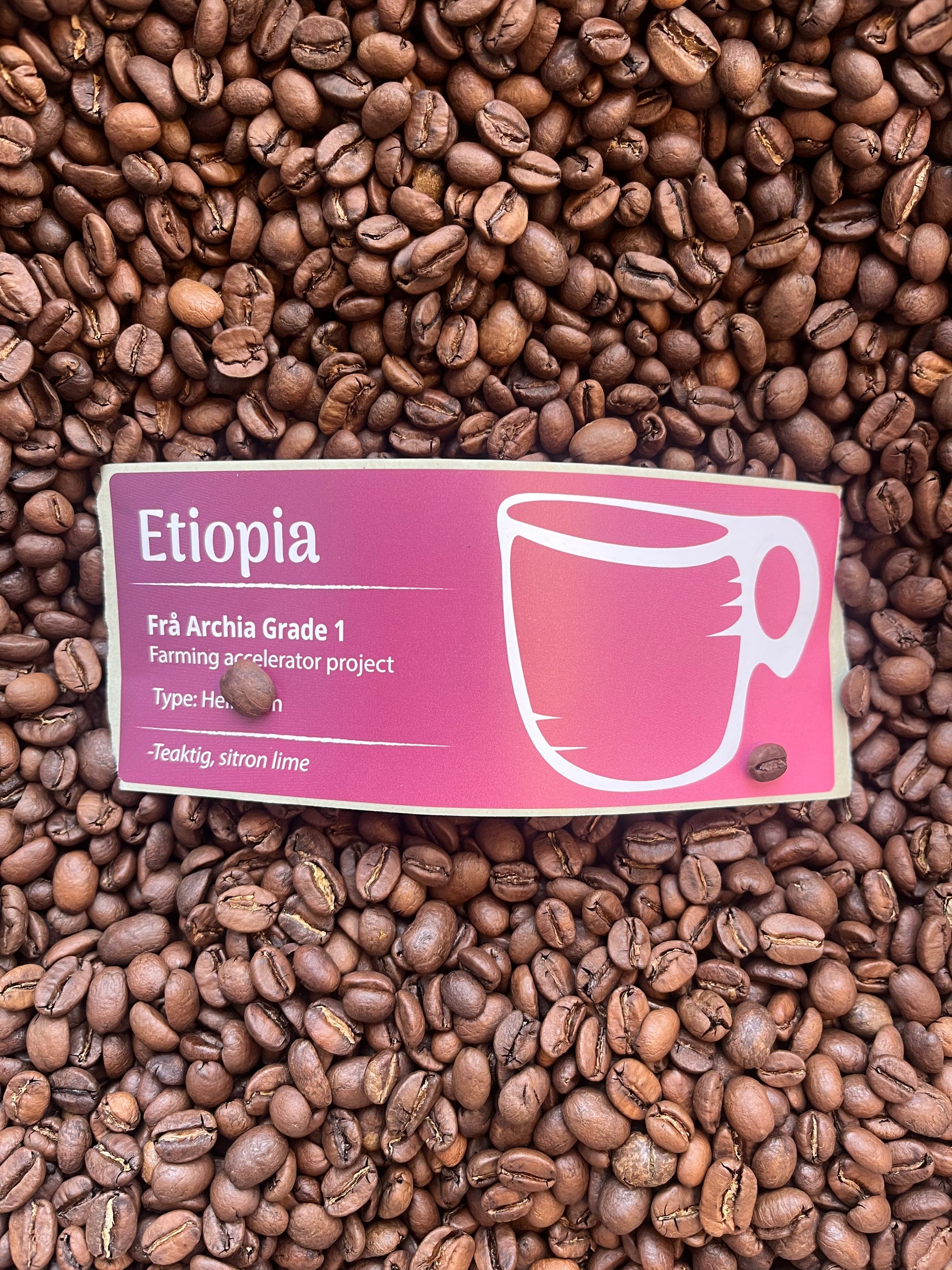 Etiopia - vasket Sognefjord Kaffibrenneri